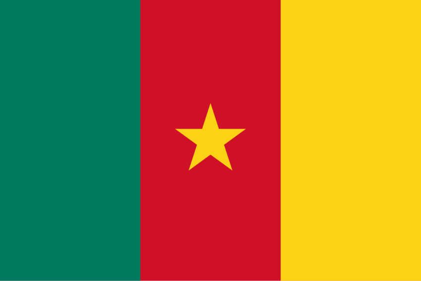 drapeau cameroun