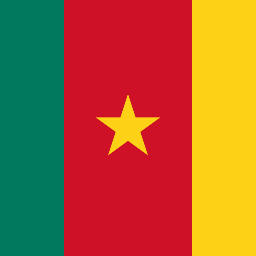 Drapeau Cameroun