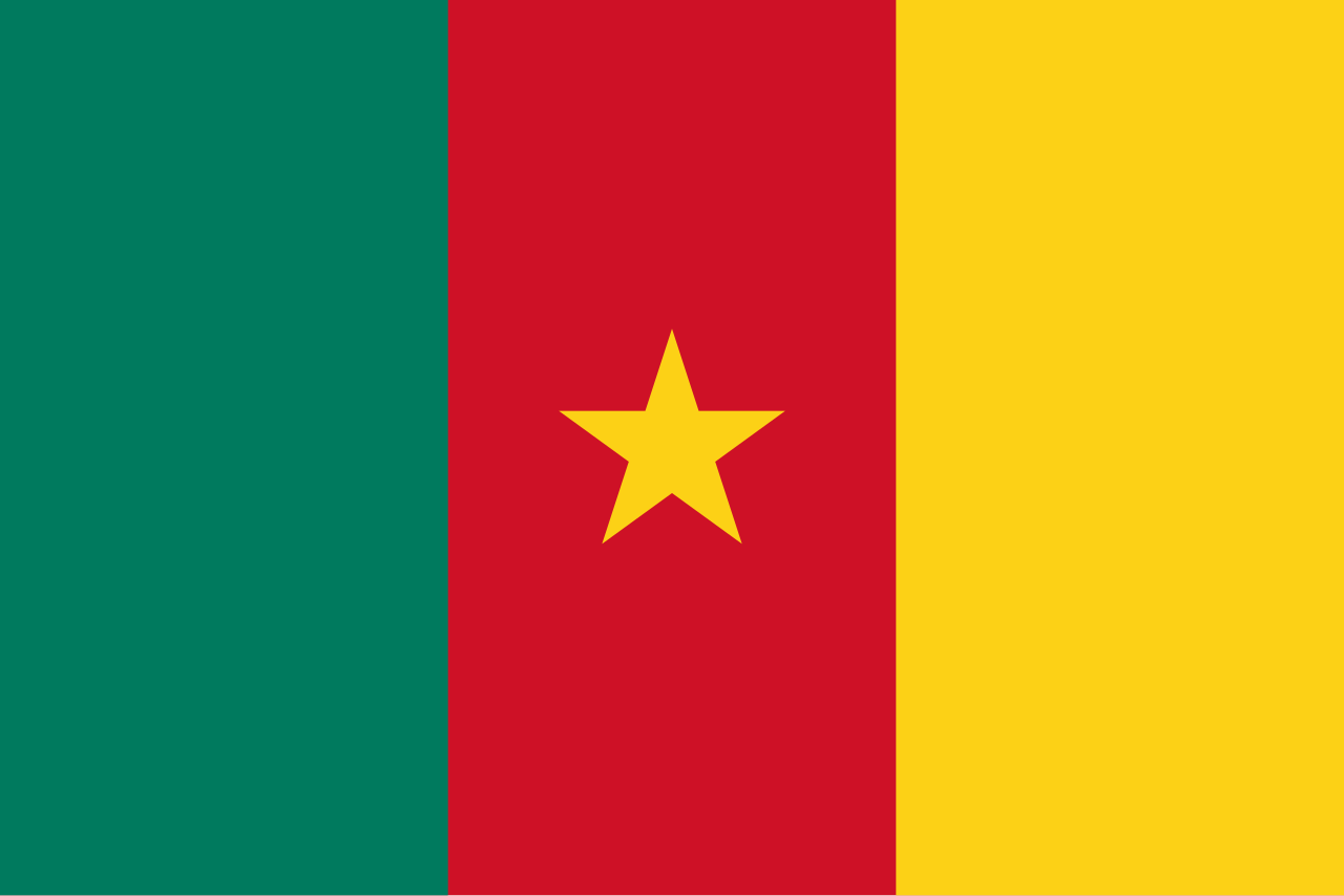 drapeau cameroun